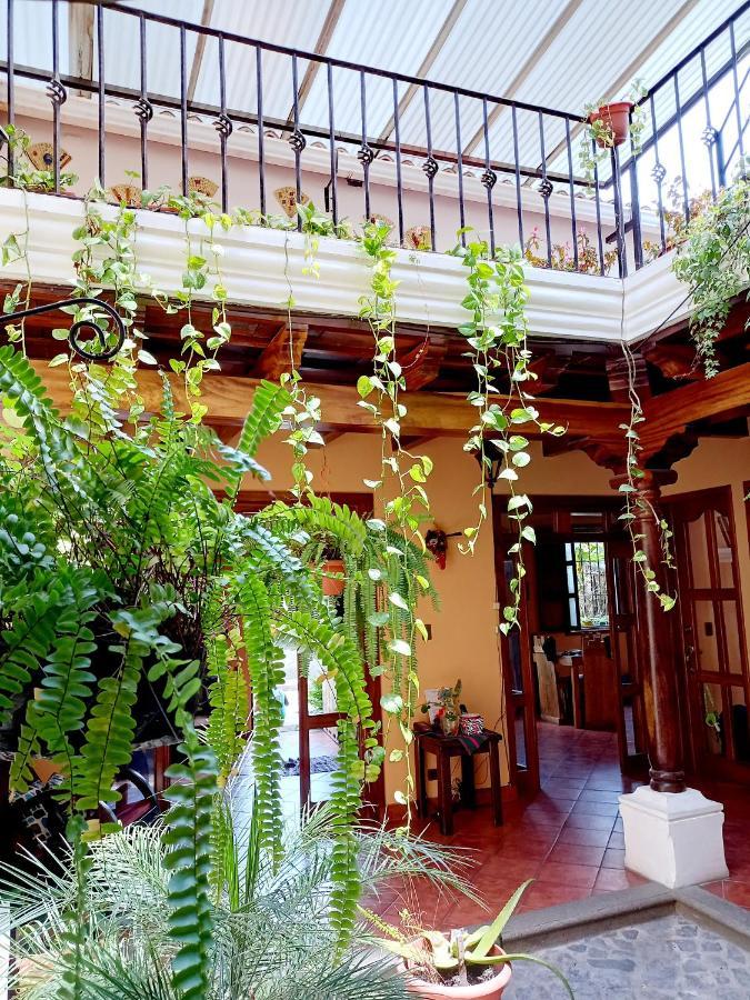 Casa Sofia 3* Antigua
