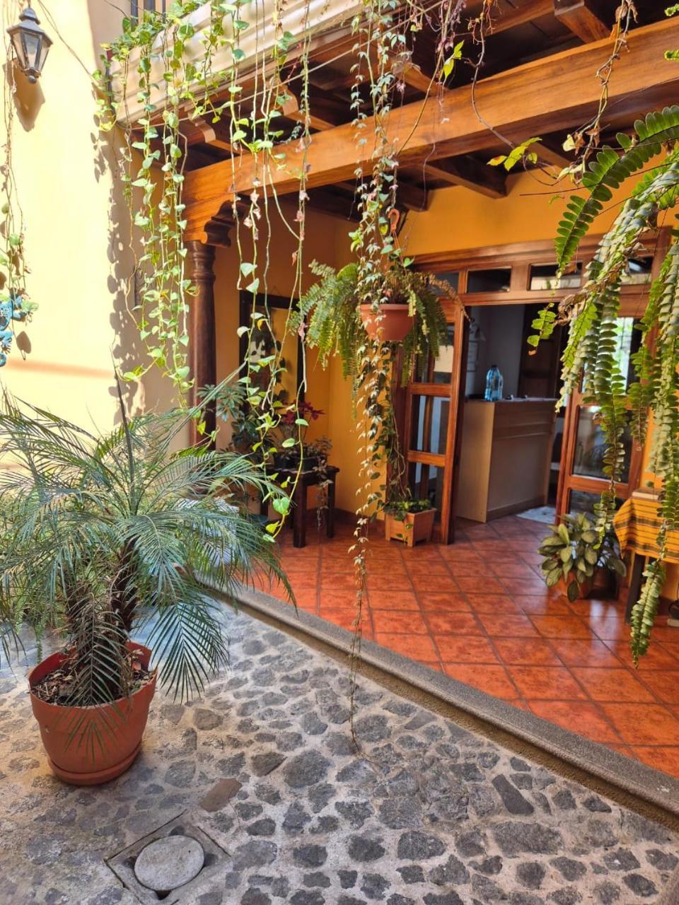 Hotel Casa Sofia