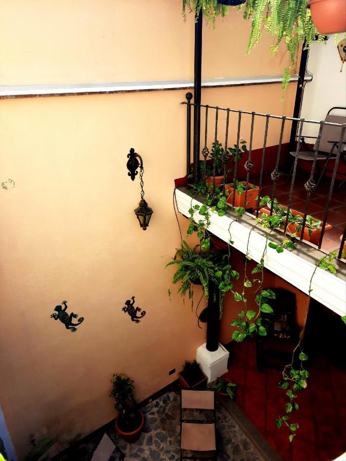 Casa Sofia 3*