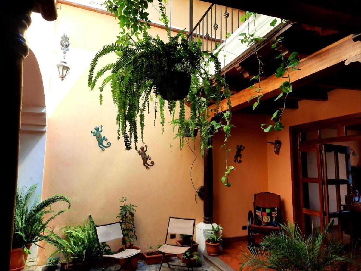 Casa Sofia Antigua
