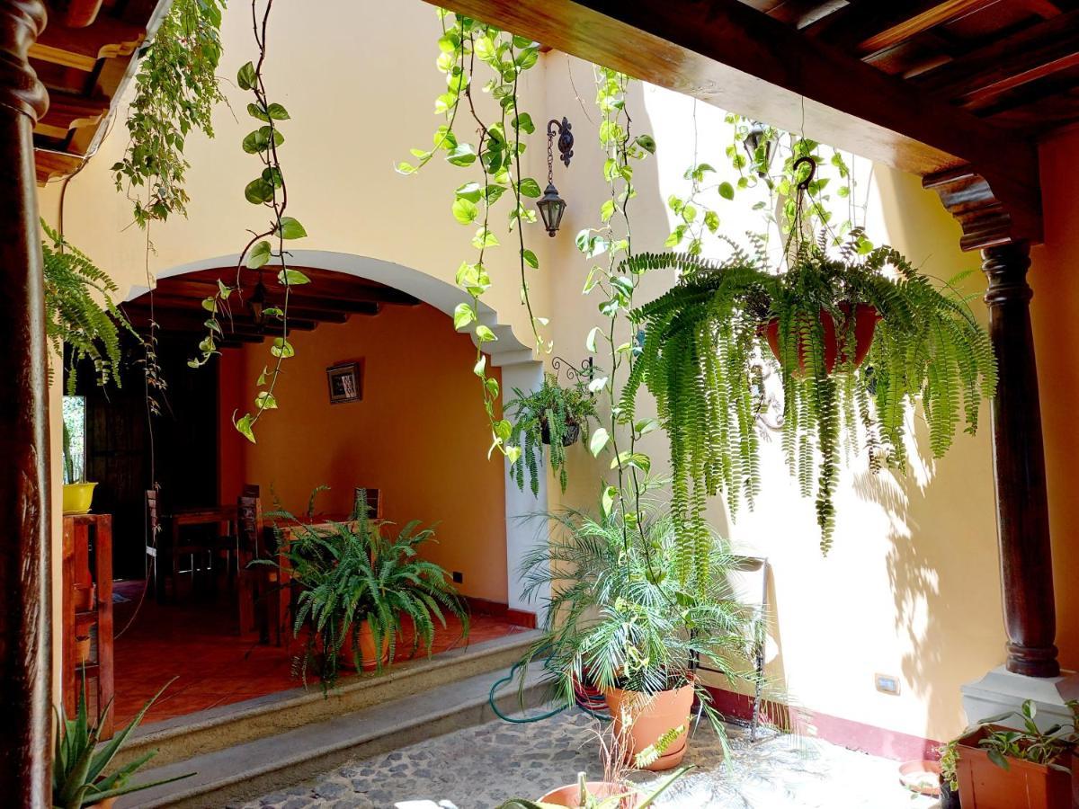 Hotel Casa Sofia 3*